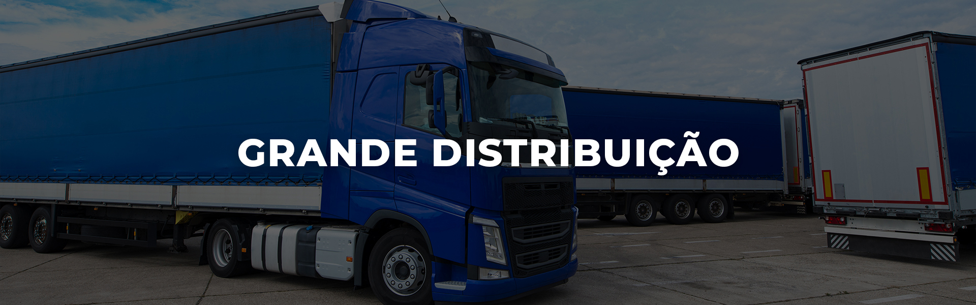 Sector gran distribución